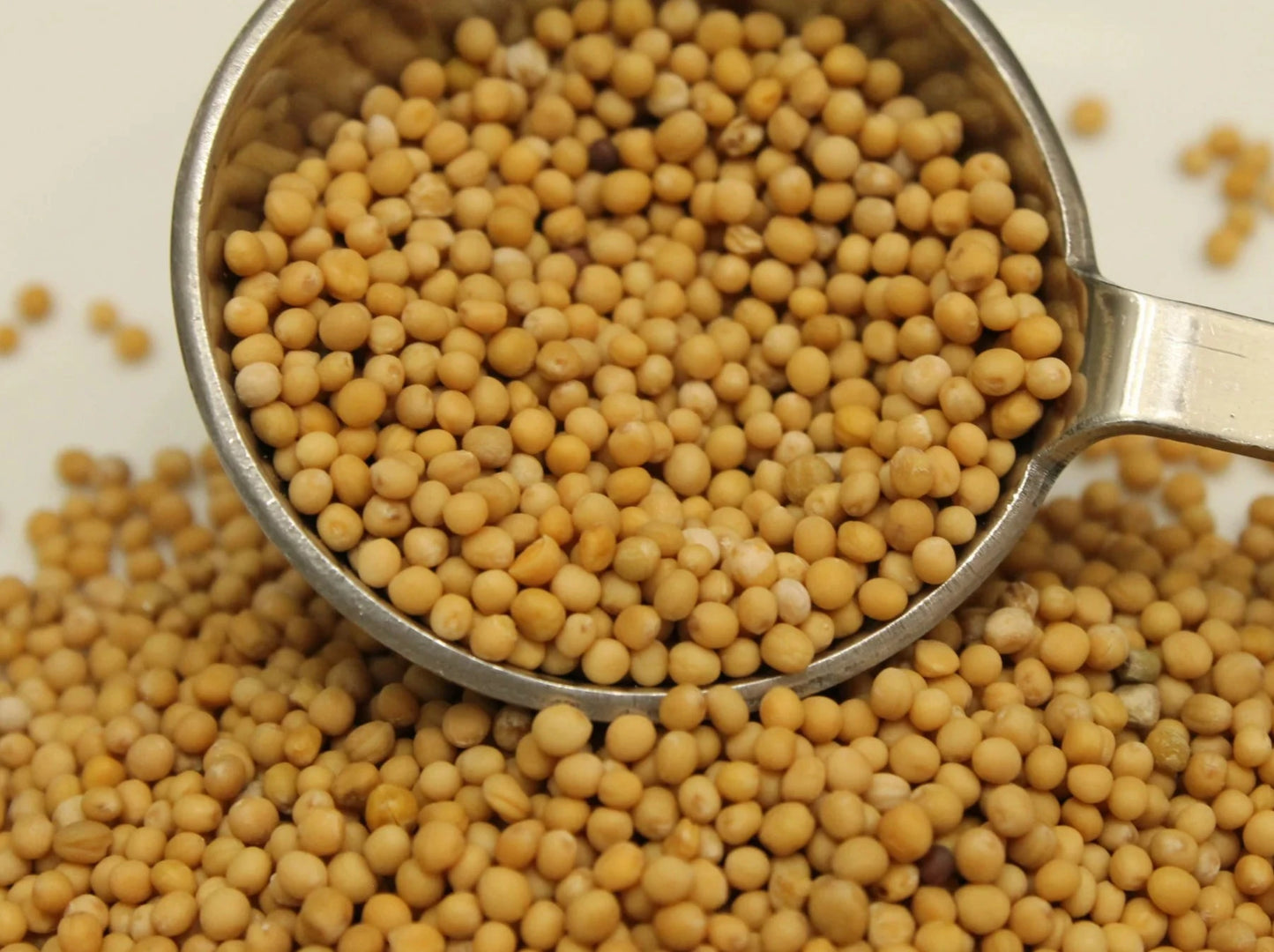 Mustard seeds in a metal spoon.
