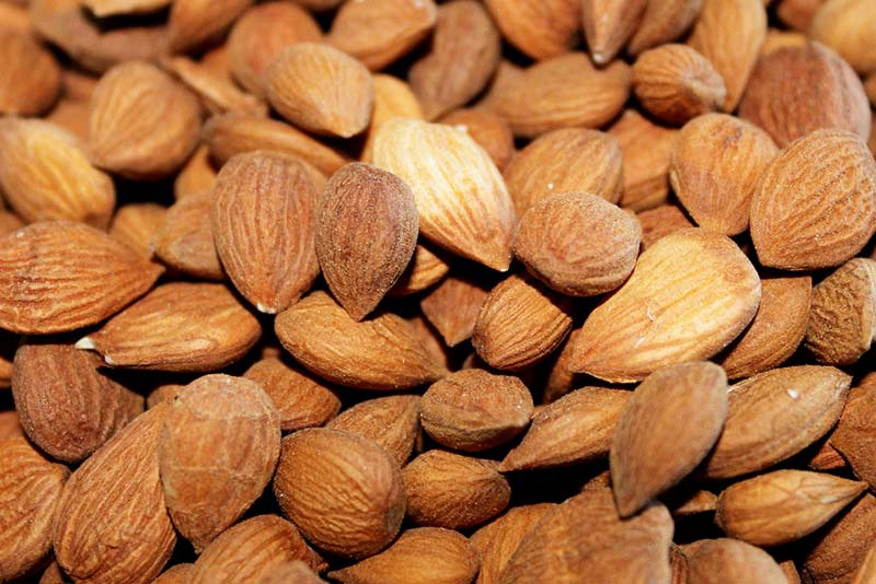 Peach kernels highly debated for their suspected anti-cancerous effects.