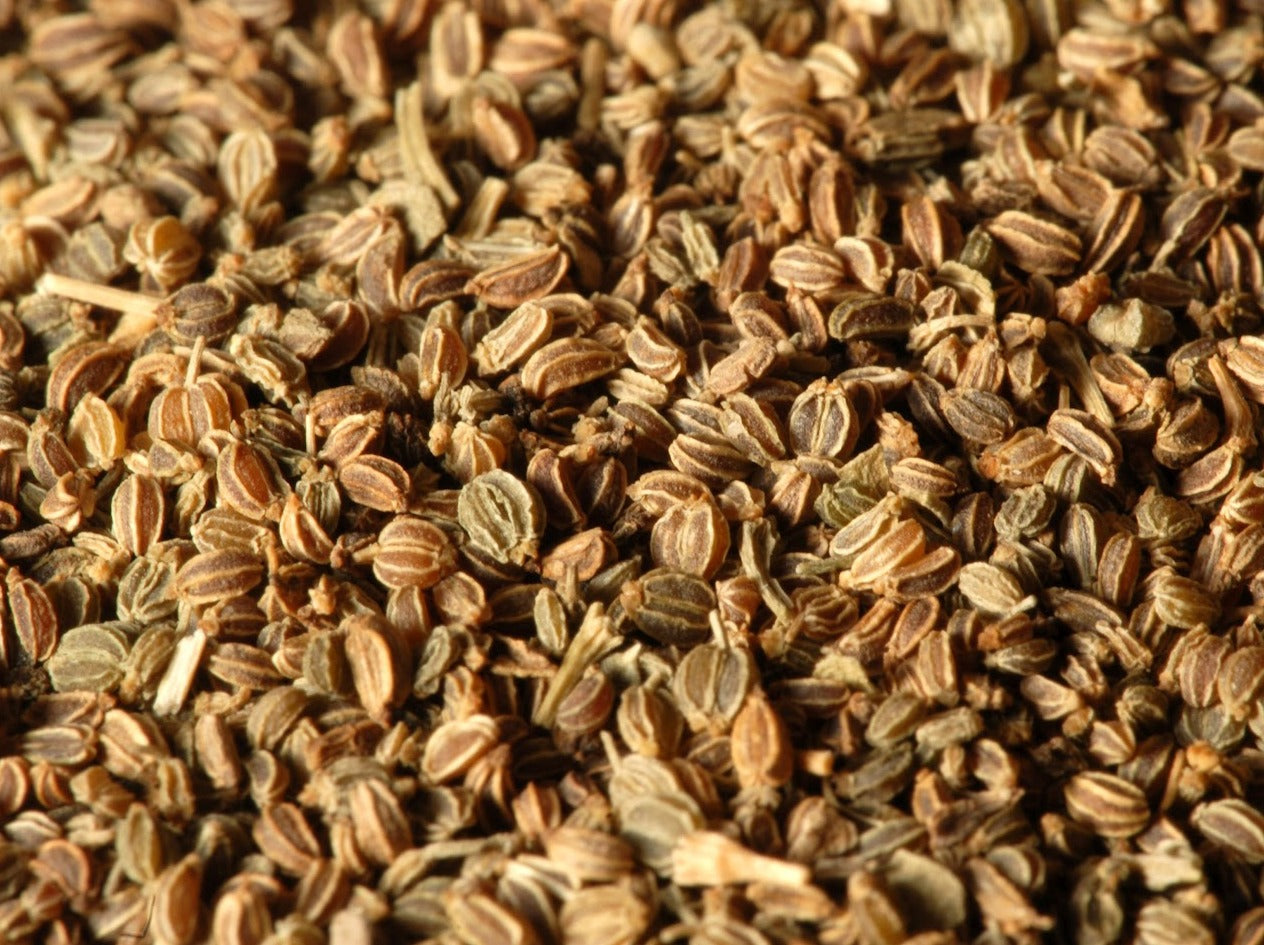 Celery seeds in an abundance. A vegetable seed commonly used as a essential oil for its many beneficial health benefits.