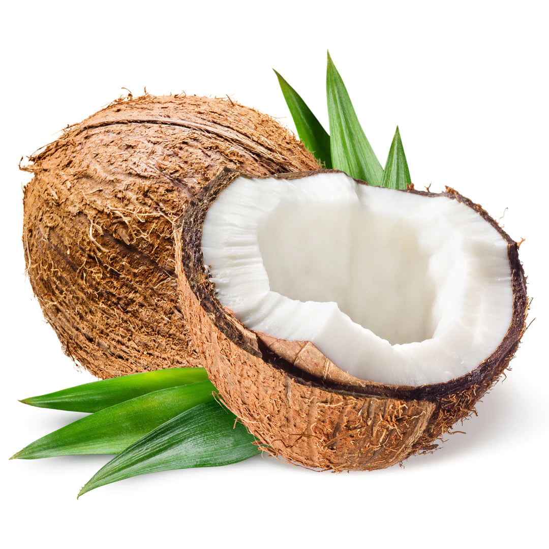 1 whole coconut and a coconut broken in half. They both have there furry brown casing and the edible white centre.