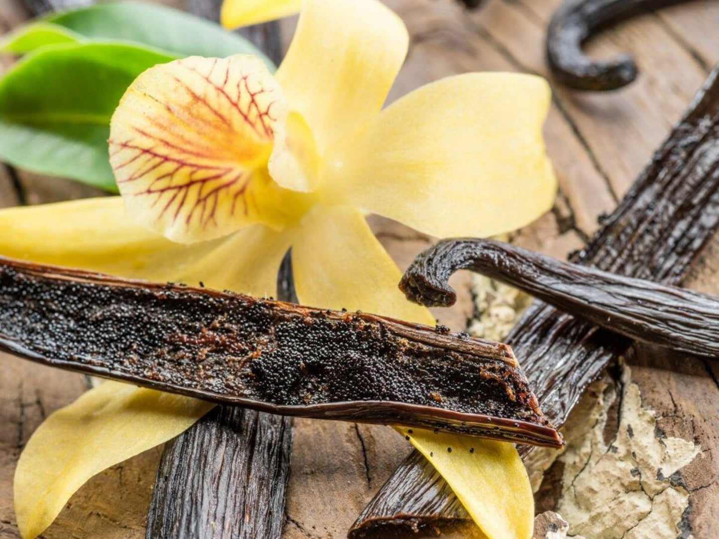 Vanilla pod featuring the Vanilla flower behind it with its Yellow leaves, known for it flavour.