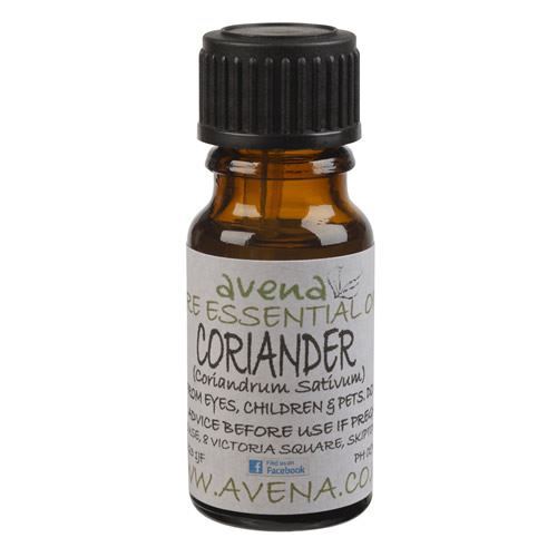 A bottle of Coriander an essential oil also known by the Latin name Coriander Sativum.