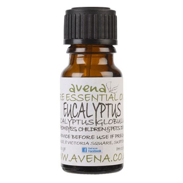 A bottle of Eucalyptus as an essential oil known as Eucalyptus globolus.