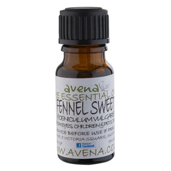 A bottle of Fennel extract as an essential oil known in Latin as Foeniculum vulgare.