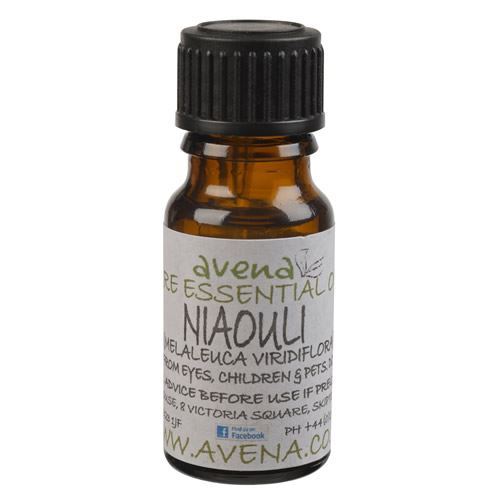 A bottle of Niaouli essential oil. Melaleuca viridflora.