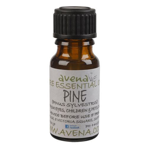 A bottle of pine essential oil, know as pinus sylvestris in Latin.