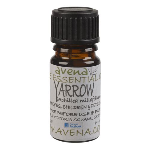 A bottle of Yarrow essential Oil called Achillea millefolium in Latin.