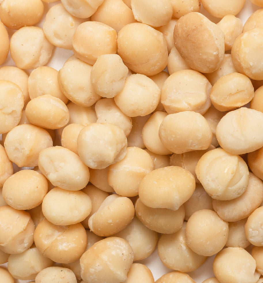 fresh and raw Macadamia nuts.