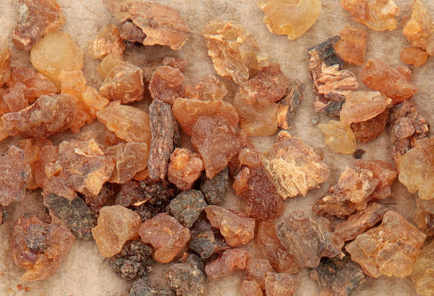 Myrrh oil resin, known in history from biblical stories but with many modern day health uses.